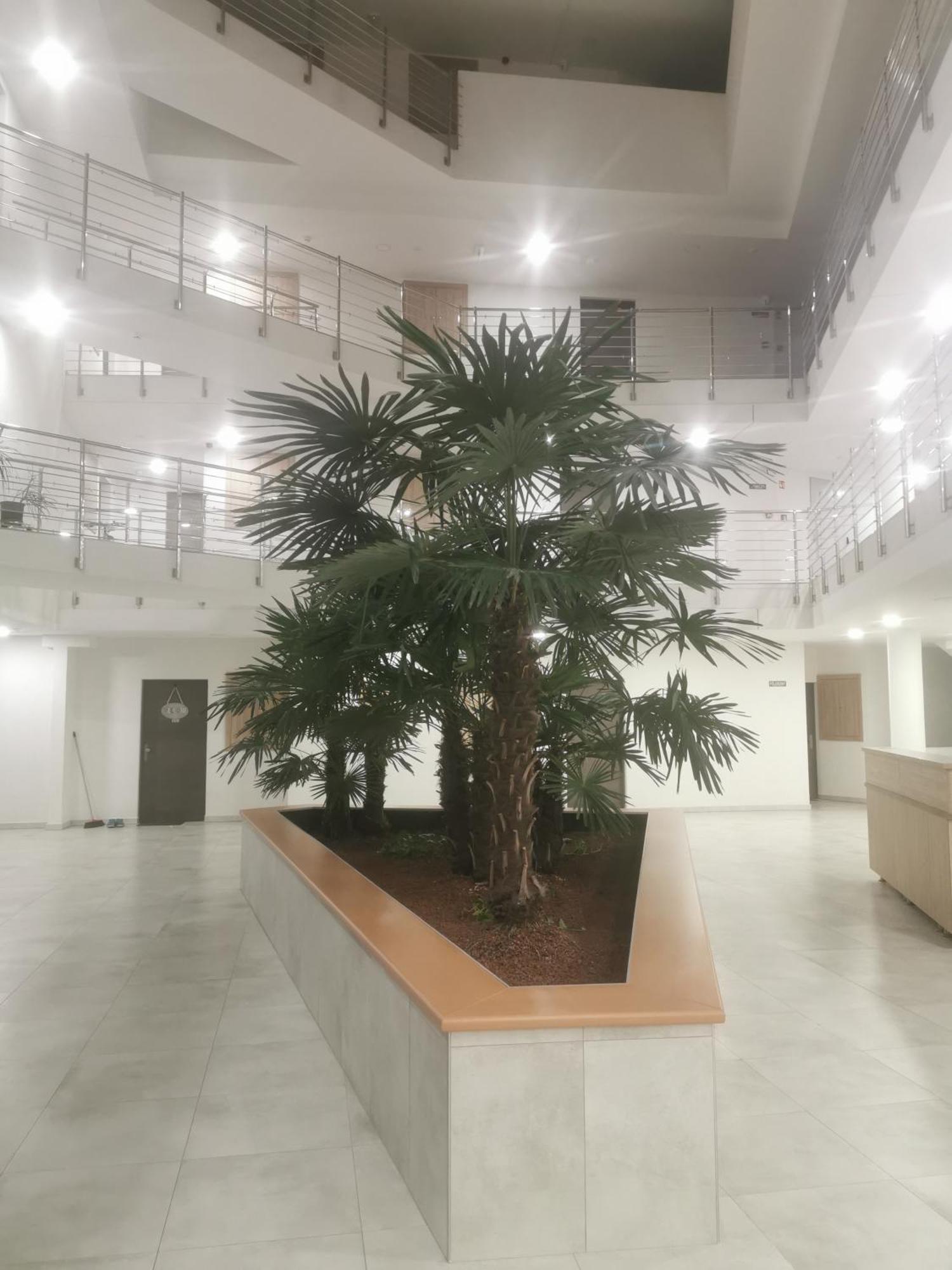 Beli Apartman Melygarazzsal Hévíz Kültér fotó